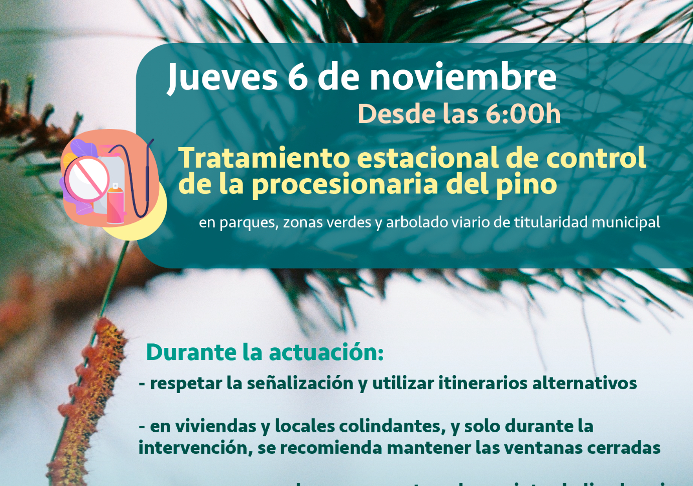 Tratamiento de procesionaria el jueves 6 de noviembre